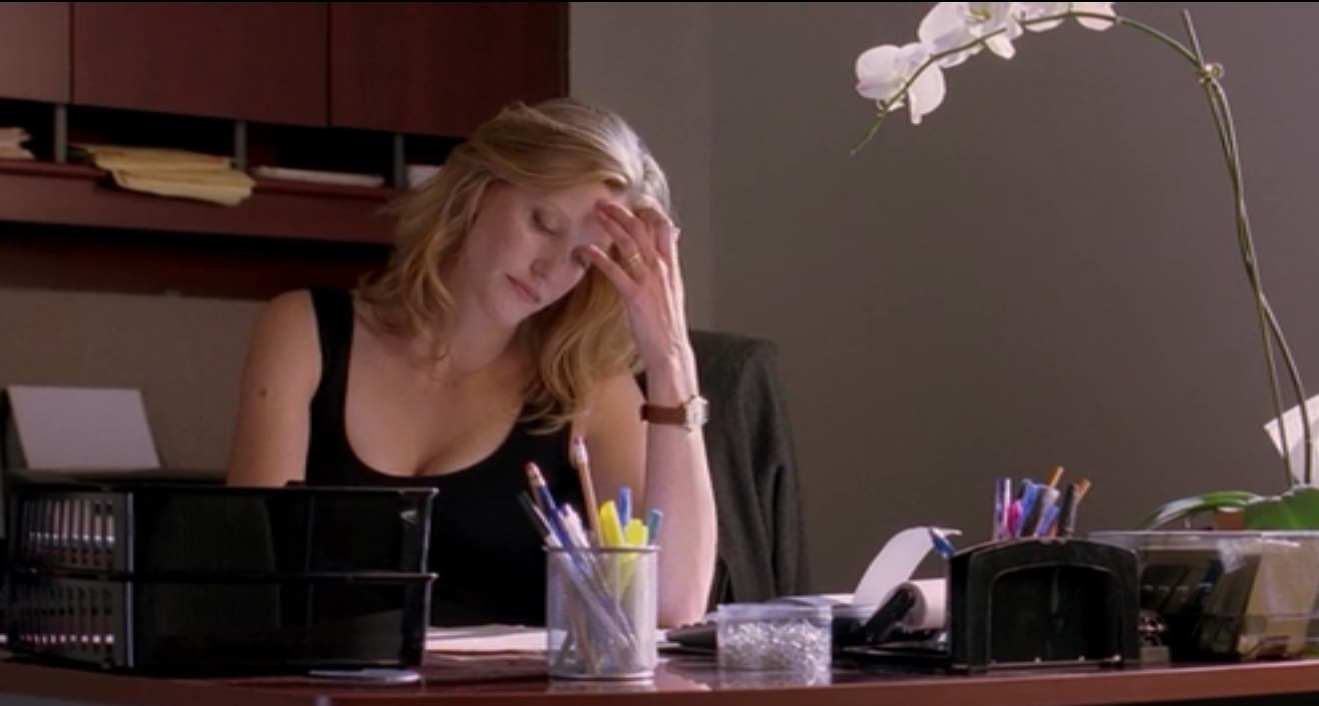 Best Supporting Cleavage in a Drama: Anna Gunn as Skyler White in Breaking Bad...