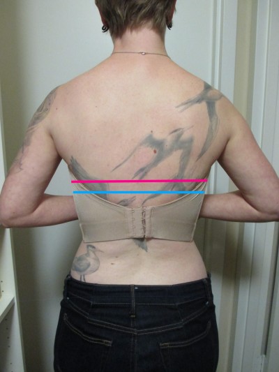 Here is an image of the back. The pink line is where the top of my normal bra band sits. The blue line is where the Deco strapless sits after a full day of wear and never yanking it up. (Imagine that both these lines are curved a little to follow the bodyâ€™s contours, not straight across.)