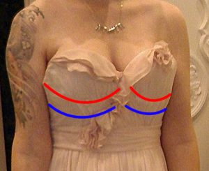 The red lines are where the boob cups stopped and the blue lines are about where my actual boobs stopped. Way too much of a difference to risk it.