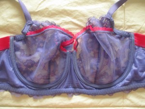 The inside of the bra.