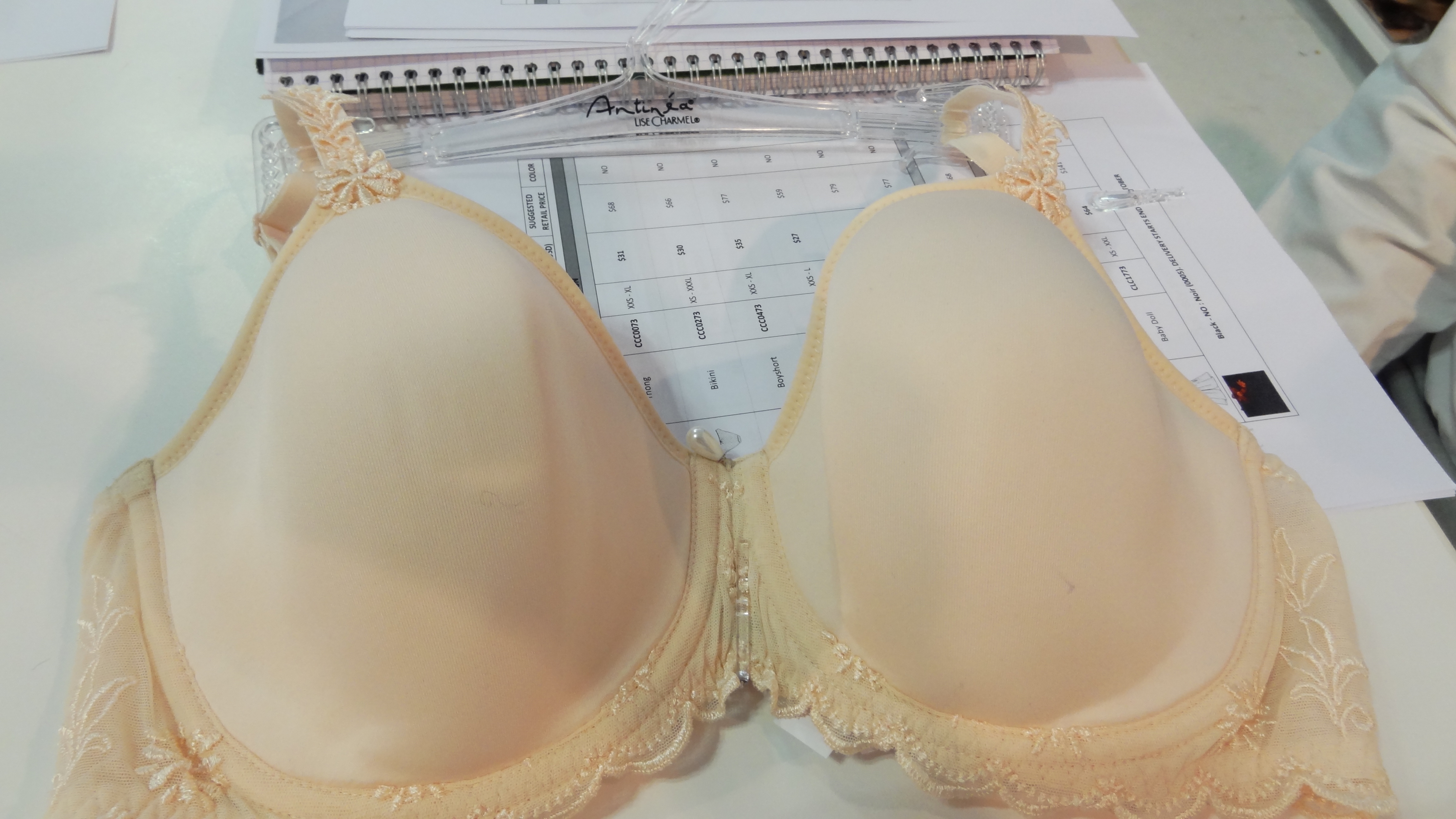 Pretty Bras for Big Breasts: Éprise (Reprise) . . . and Antinéa