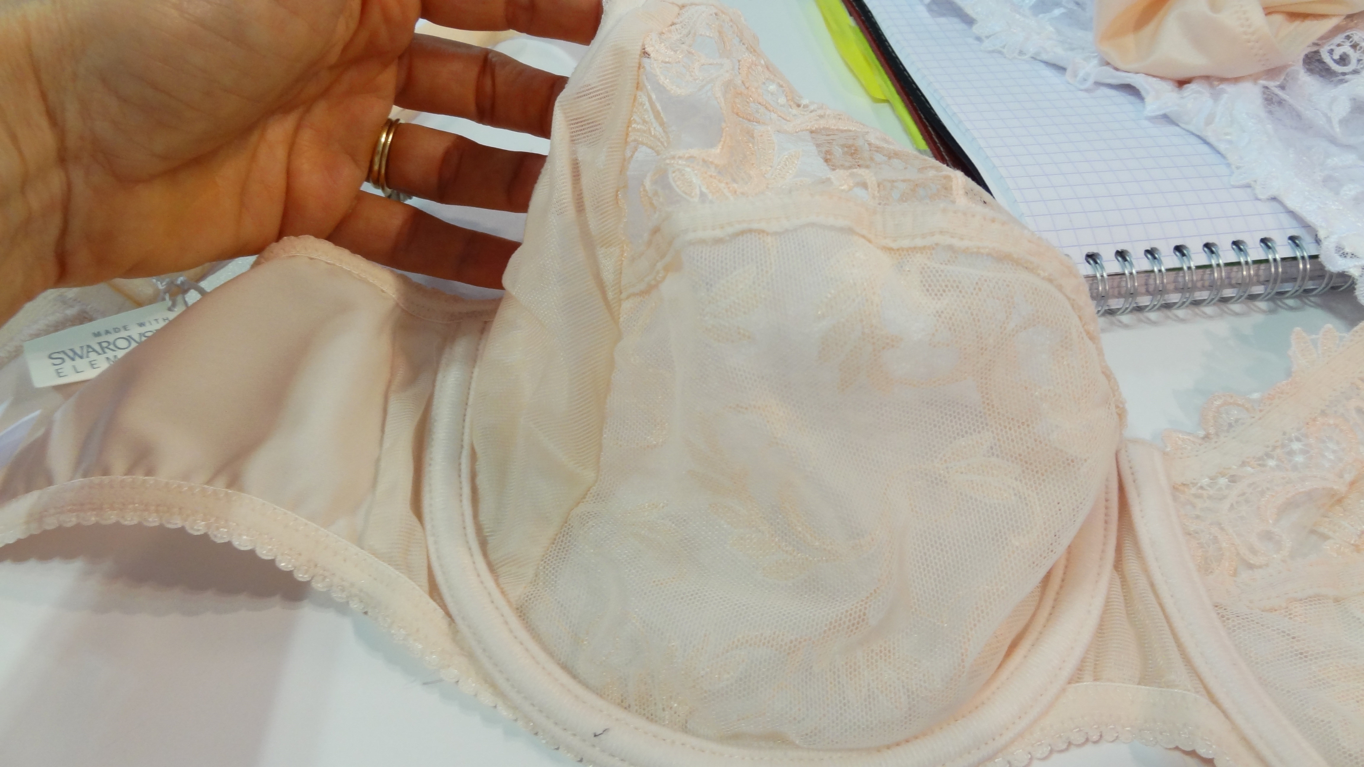 Pretty Bras for Big Breasts: Éprise (Reprise) . . . and Antinéa and Antigel  –